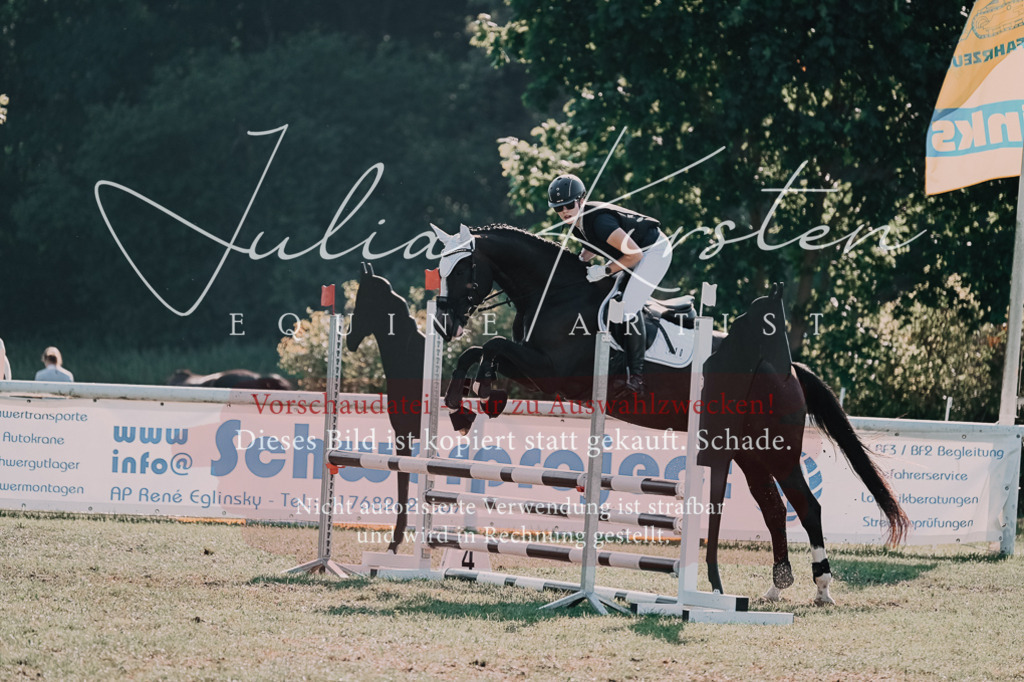 DSC_4823 | Pferde- und Turnierfotografie in Westsachsen. Pferdeportraits, Auftragszeichnungen und intuitive Kunst.