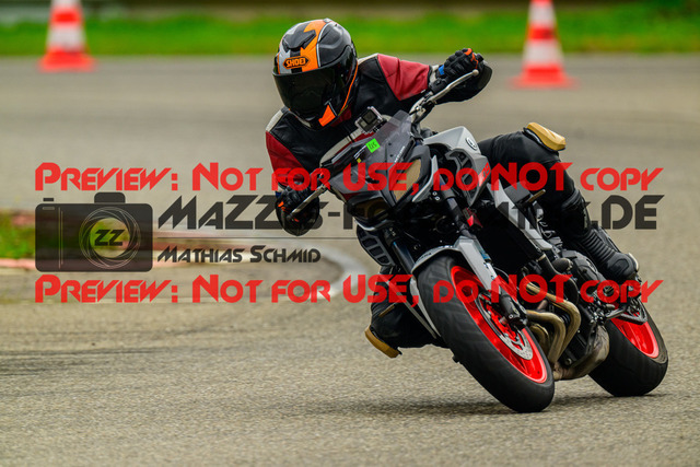 MaZZes_Fotomatrix_20241003_6007705_0723 | GRUEN