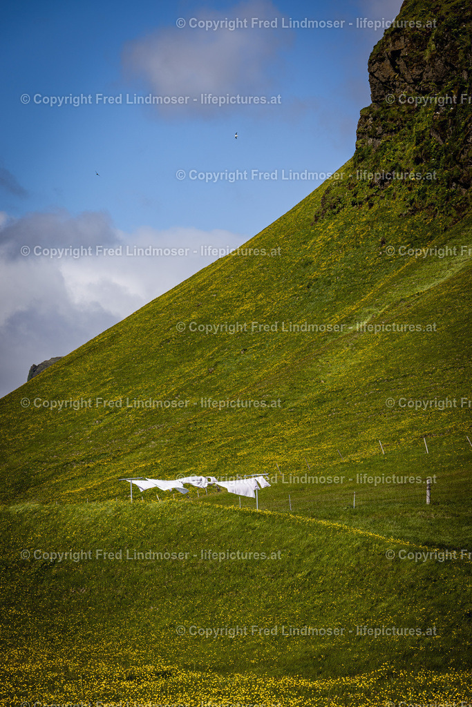 Island Juni 2022-0277 | Fotos und Fotoprodukte - Realisiert mit Pictrs.com