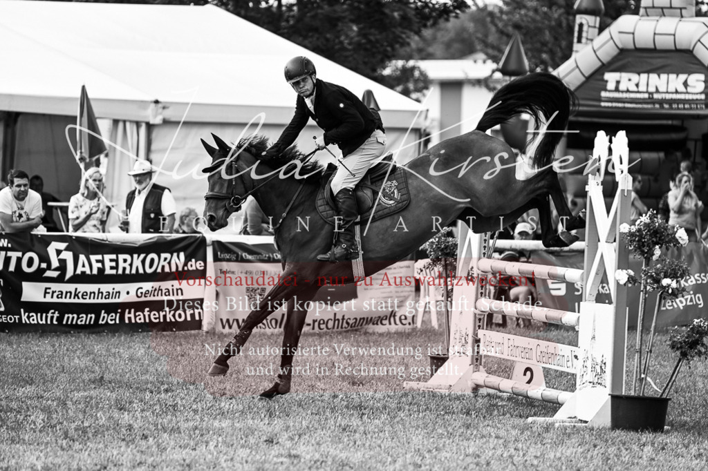 DSC_0746 | Pferde- und Turnierfotografie in Westsachsen. Pferdeportraits, Auftragszeichnungen und intuitive Kunst.