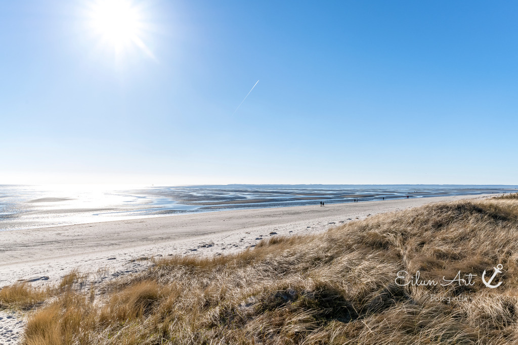 EAF_4392 | Eilun-Art-Fotografie Levke Martens, ihre Fotografin für Immobilien- und Landschaftsfotografie auf Föhr, Föhrer Motive als Poster, Leinwand, hinter Acrylglas oder stelle dir deinen eigenen Monatskalender zusammen, mit nur einem Klick