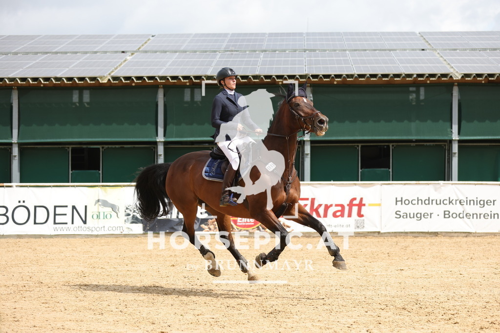 0P6A3631 | Willkommen bei Brunnmayr - Design & Fotografie – Ihrem Spezialisten für Reitturniere und Pferdeveranstaltungen in Oberösterreich, Salzburg und Bayern! Seit über 17 Jahren sind wir leidenschaftlich dabei.