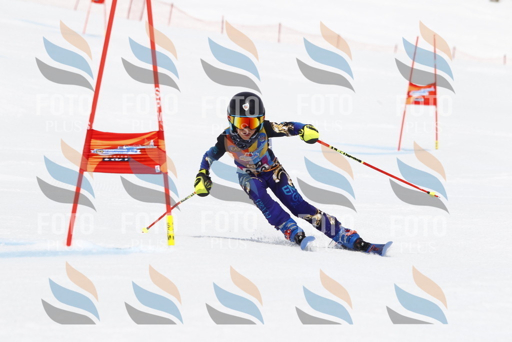 _U3G7096 | holidayphoto