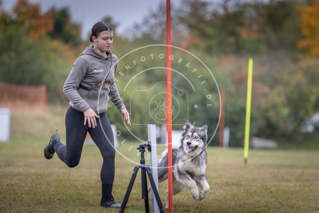 Pfotenfotografie_DV3A0928 | Hundefotografie, Tierfotograf, Pfotenfotografie, Fotoshooting Hund, Hunde Portrait, Hundesport, Hundeportraits, Heideshooting, Hunde, Sportfotograf, Hundefotograf, Turnierhundsport, THS,  - Realisiert mit Pictrs.com