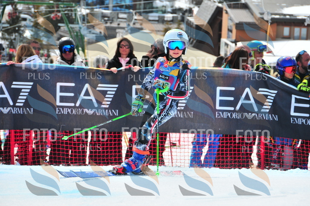 DSC_2387 | holidayphoto