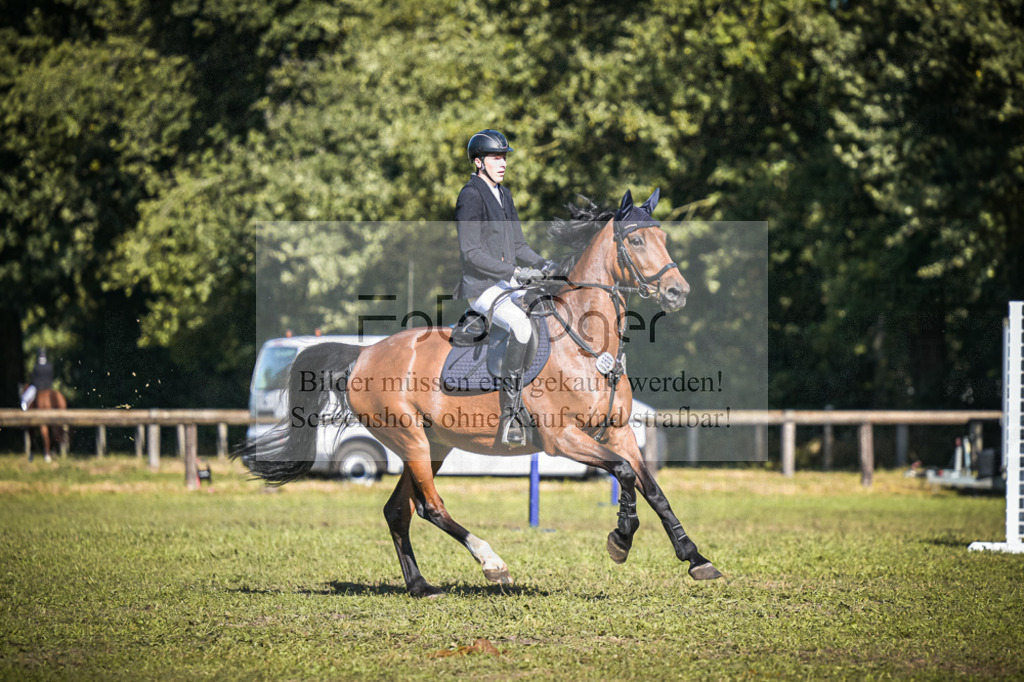 DOS_1167 | Entdecke hochwertige Reitturnierfotos von Foto Oger. Professionell, emotional und authentisch – jetzt Lieblingsmomente im Shop bestellen.Deutschlandweite Turnierfotografie. - Realisiert mit Pictrs.com