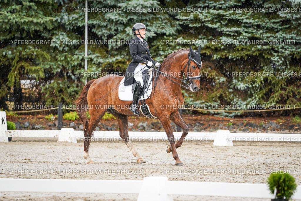 DSC09164 | Pferdegrafie