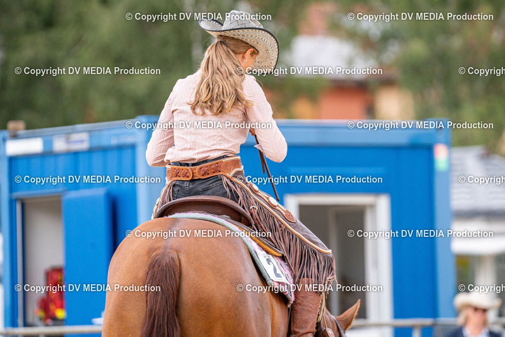 LM Heiligenwald Tag 2-1603 | dv-media-shop - Realisiert mit Pictrs.com