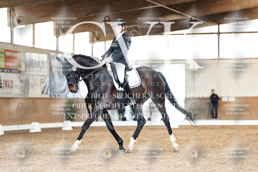 CK901134 | Turnierfotografie Pferdefotografie Trier Rheinland-Pfalz Pferdesport Reitsport Tierfotografie Sportfotografie Pferdevideo Pferdevideografie Equestrianvideography equestrianphotography  - Realisiert mit Pictrs.com