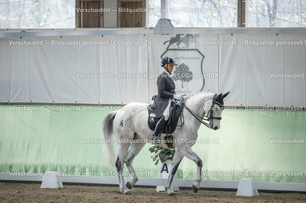 _D5A6393 | Emotionale Pferde- & People-Fotografie rund um Heidelberg, Leimen & Umgebung. Natürliche Fotos von Pferd, Mensch & Familie. Jetzt Termin sichern!