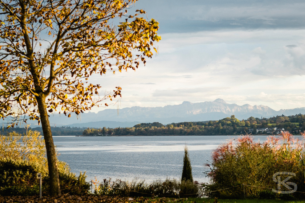 Bodenseebilder Galerie: Atemberaubende Fotos & Stimmungen | Entdecken Sie eine Sammlung stimmungsvoller Fotos vom Bodensee. Hochwertige Bilder von Sonnenauf- und -untergängen, Uferlandschaften, Booten und der Natur rund um den größten See Deutschlands. - Realisiert mit Pictrs.com
