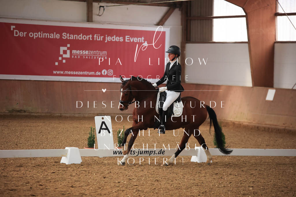 IMGT7152 | pl-fotografie