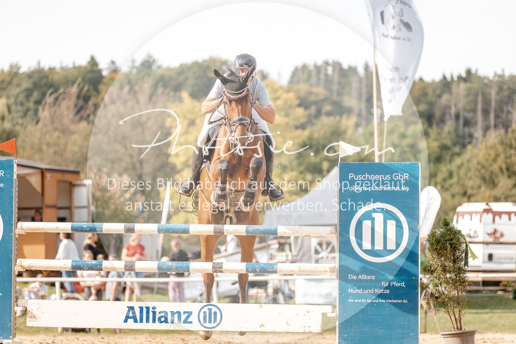 3I6A4822 | Stimmungsvolle Portraits und Reitsportfotografie im Ruhrgebiet und im Münsterland.

Pferdefotografie, Hundefotografie, Tierfotografie, Reportagen, Portraits von Tier und Mensch, Turnierfotografie in Bochum, Recklinghausen, Marl, Haltern am See, Dülmen.. - Realisiert mit Pictrs.com