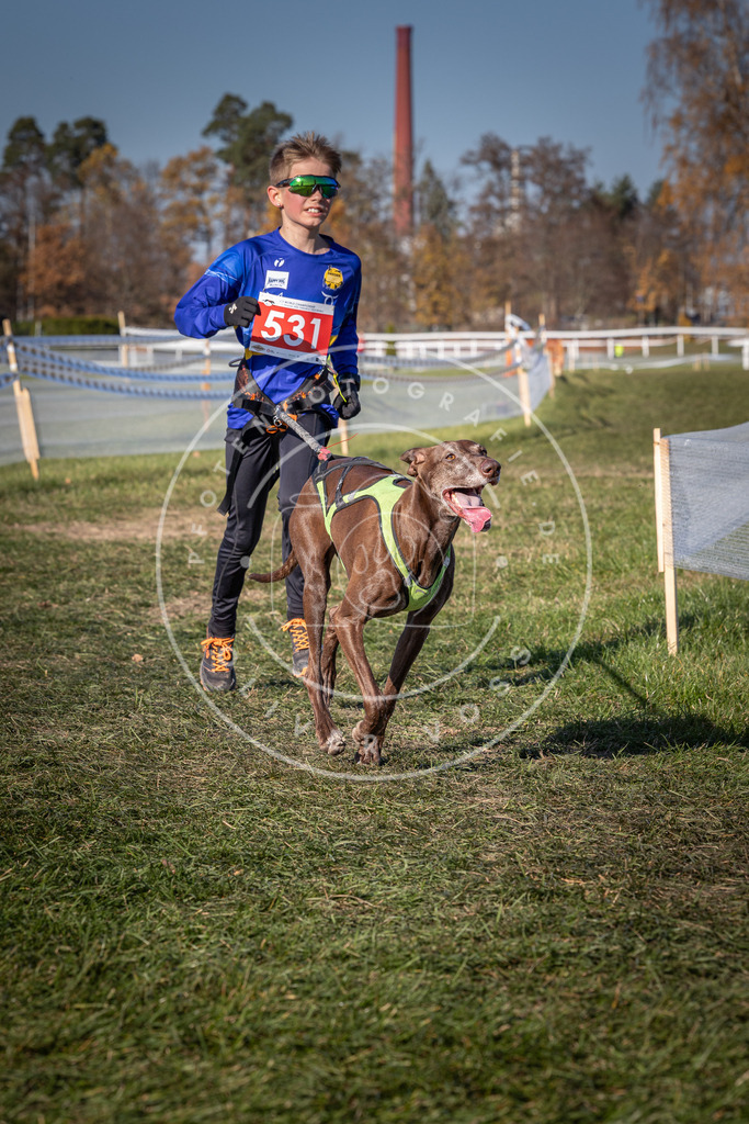 CaniXpix_0L8A7387 | Hundefotografie, Tierfotograf, Pfotenfotografie, Fotoshooting Hund, Hunde Portrait, Hundesport, Hundeportraits, Heideshooting, Hunde, Sportfotograf, Hundefotograf, Turnierhundsport, THS,  - Realisiert mit Pictrs.com