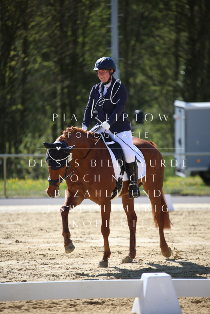 IMGT9880 | pl-fotografie