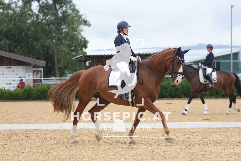 0P6A9995 | Willkommen bei Brunnmayr - Design & Fotografie – Ihrem Spezialisten für Reitturniere und Pferdeveranstaltungen in Oberösterreich, Salzburg und Bayern! Seit über 17 Jahren sind wir leidenschaftlich dabei.