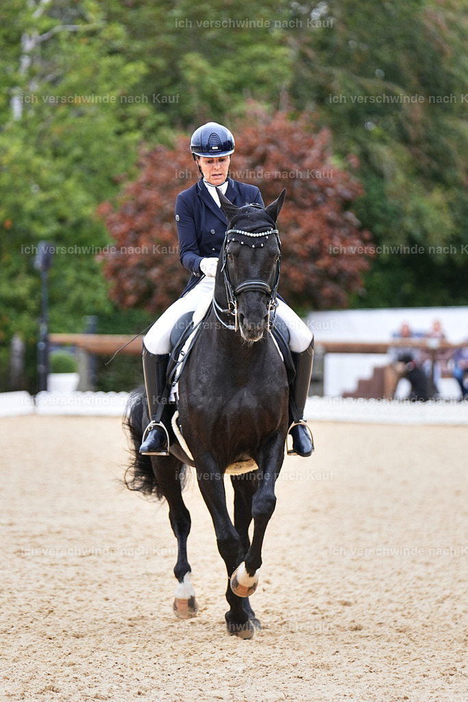 11-194-Dressur S___-Marixx-1503 | working equitationturnier fotograf videograf stoibphotography marixx film working equitation deutschland reitsport turnierfotografie eventfotografie equestrian events