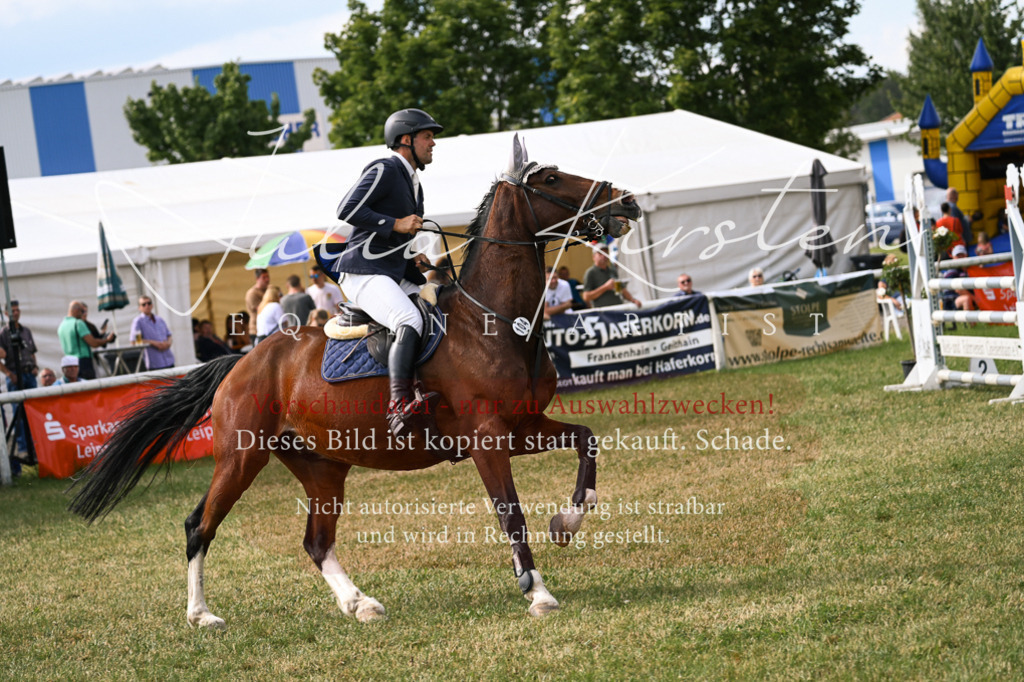 DSC_0773 | Pferde- und Turnierfotografie in Westsachsen. Pferdeportraits, Auftragszeichnungen und intuitive Kunst.