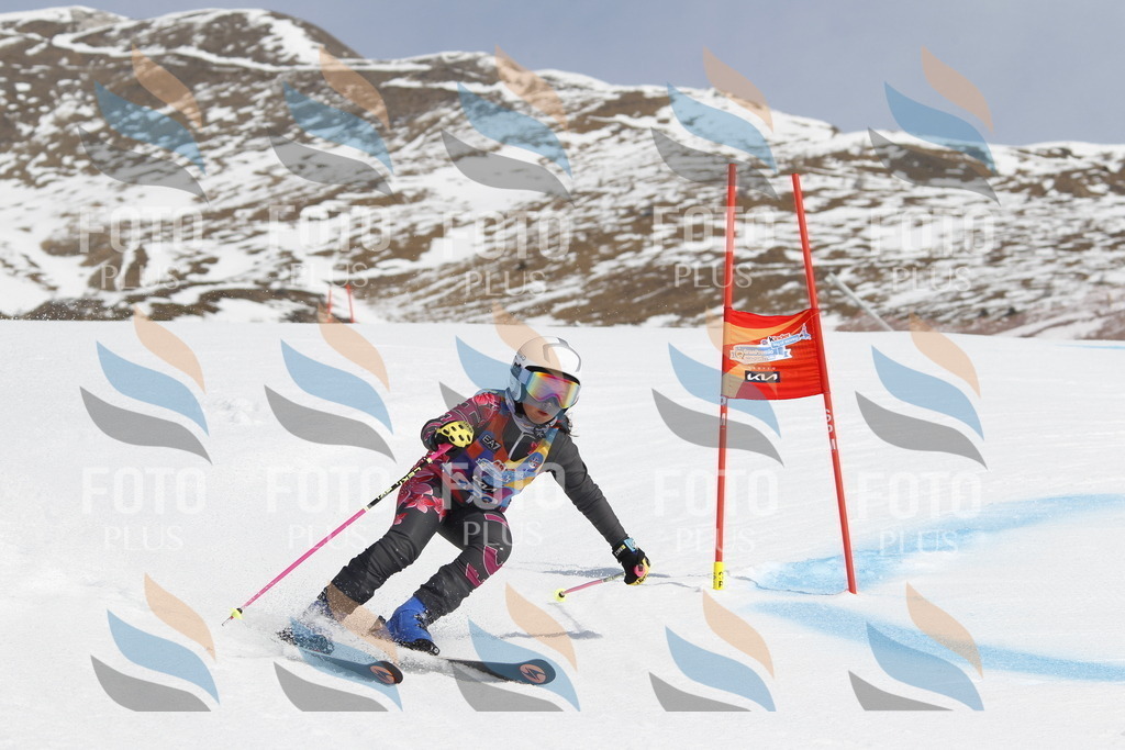 _U3G1471 | holidayphoto