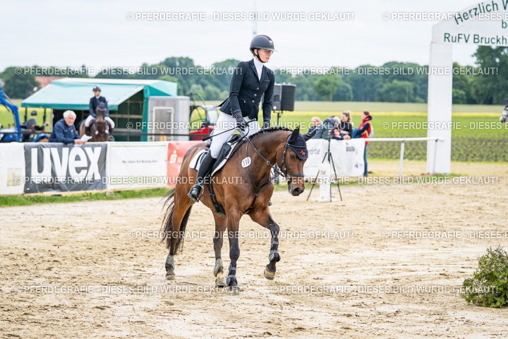 DSC04882 | Pferdegrafie