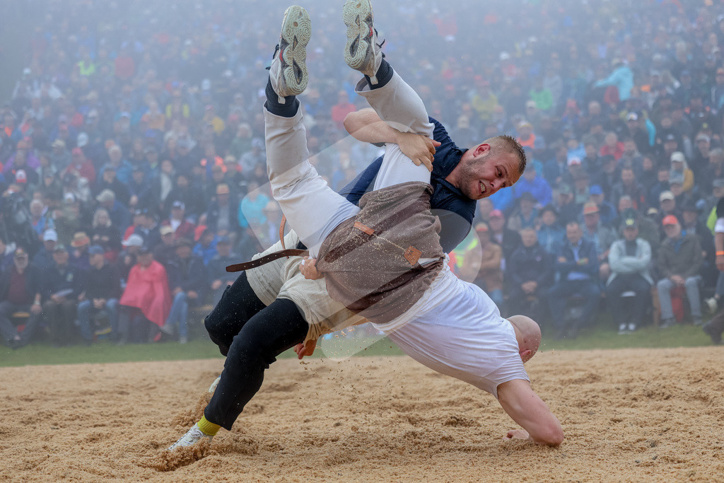 Rigi2026_1G_00042 | Die Schwinger des Schwyzer Kantonalen Schwingerverbandes: Fotos, die Dynamik und Leidenschaft festhalten, sowie emotionale Momente aus dem traditionellen Schwingsport zeigen. - Realisiert mit Pictrs.com