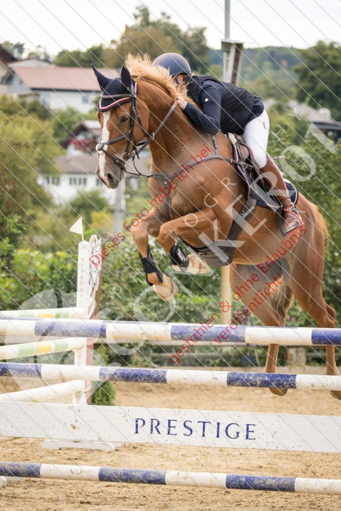 CON_7010 | Sport-, Event- und Tierfotos in Profiqualität. Einfach auswählen, bestellen und herunterladen. Dein Moment – perfekt festgehalten.