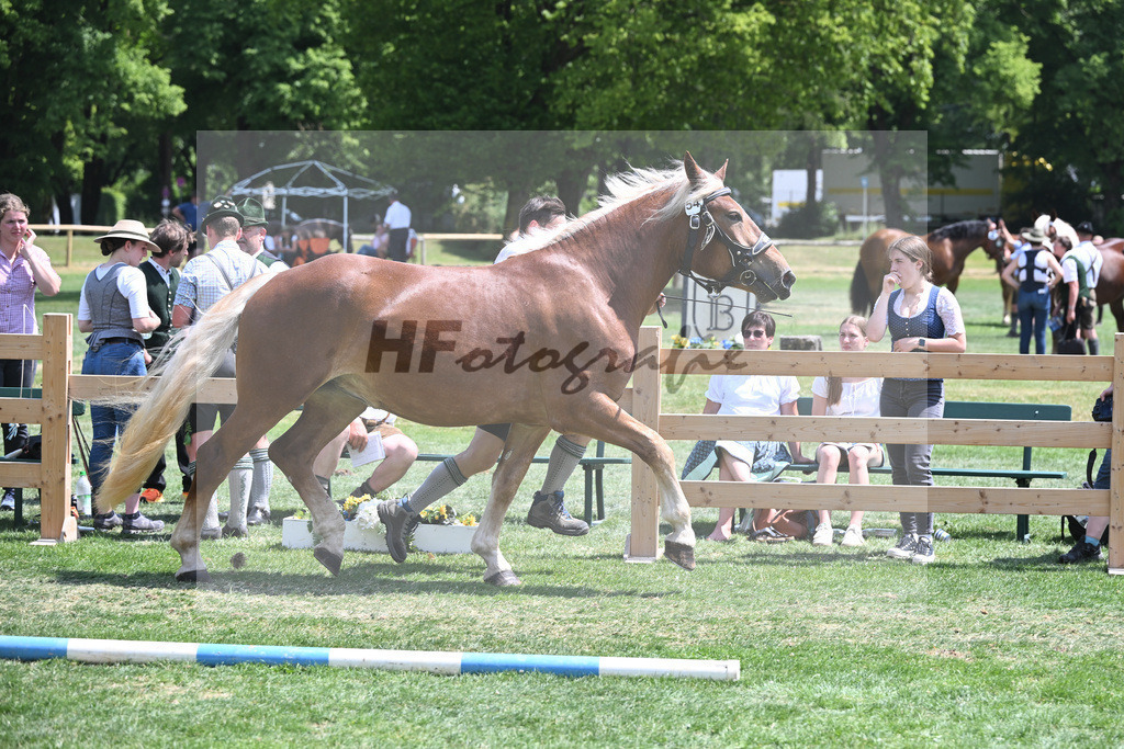 Kat-Nr. 54 Elsa_Albrecht_20230862 | hf-fotografie - Realisiert mit Pictrs.com