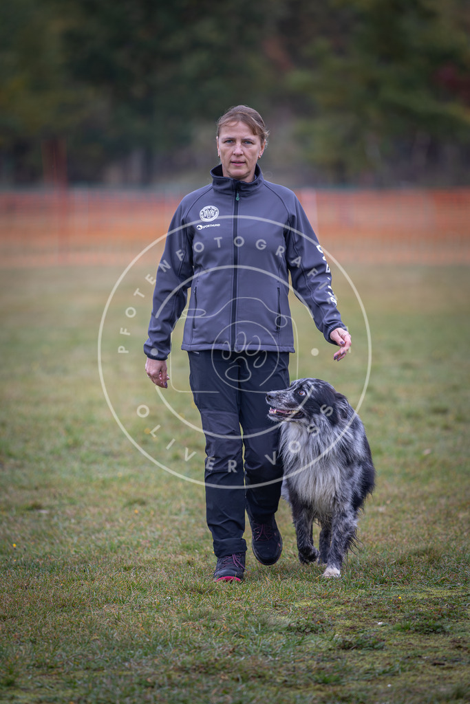 Pfotenfotografie_DV3A9418 | Hundefotografie, Tierfotograf, Pfotenfotografie, Fotoshooting Hund, Hunde Portrait, Hundesport, Hundeportraits, Heideshooting, Hunde, Sportfotograf, Hundefotograf, Turnierhundsport, THS,  - Realisiert mit Pictrs.com