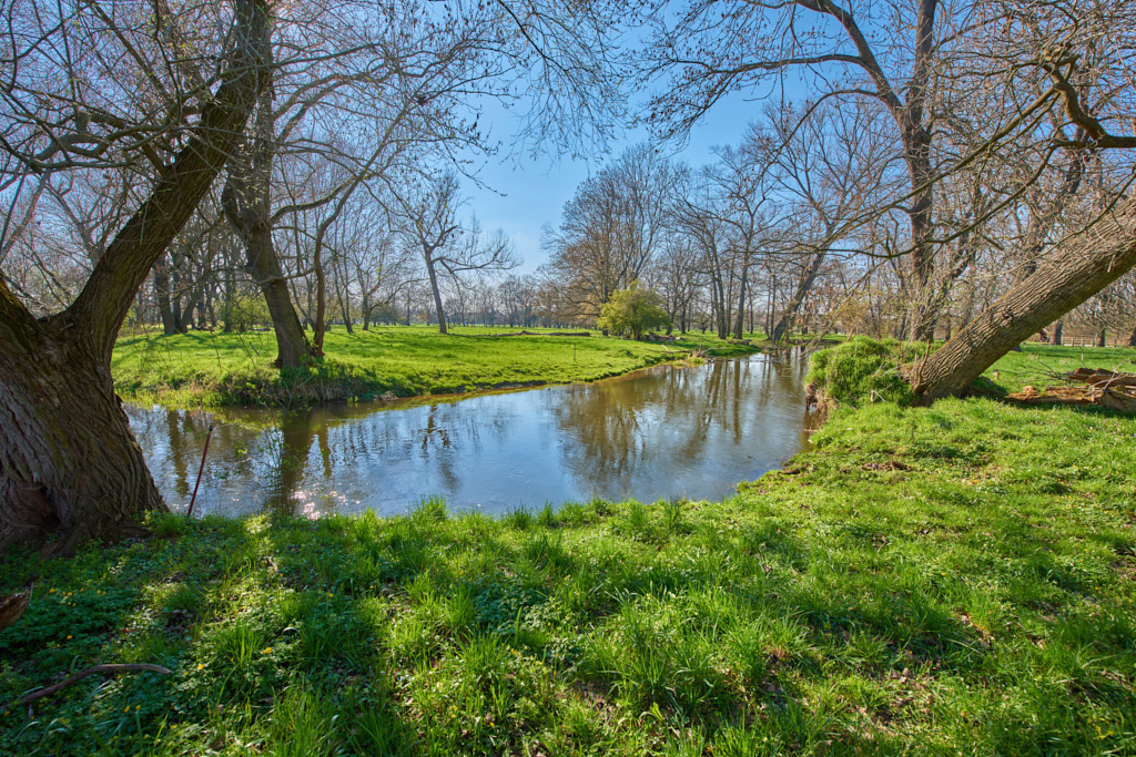 Am Profener Elstermühlgraben nahe Lützkewitz_ 196_ ST | Fotos als Raumschmuck - Realisiert mit Pictrs.com