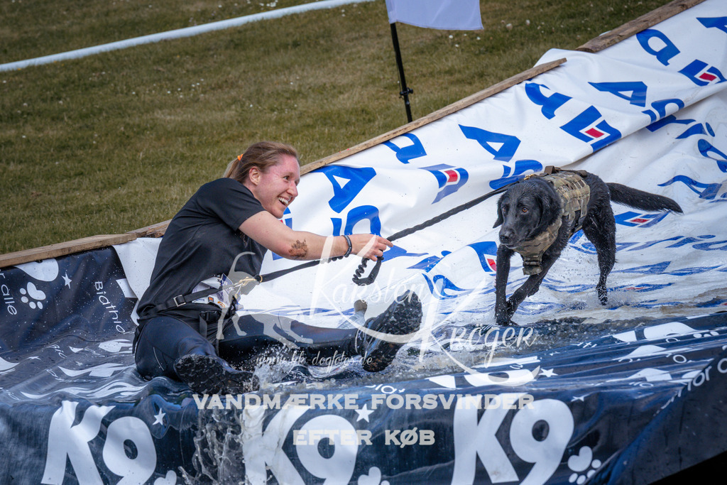 _ZZ944500958 | kk-dogfotos