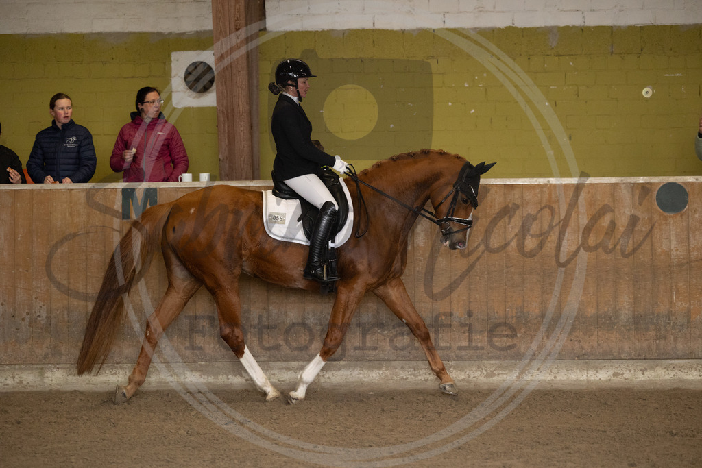 994A9033 | sabrinanicolaifotografie - Realisiert mit Pictrs.com