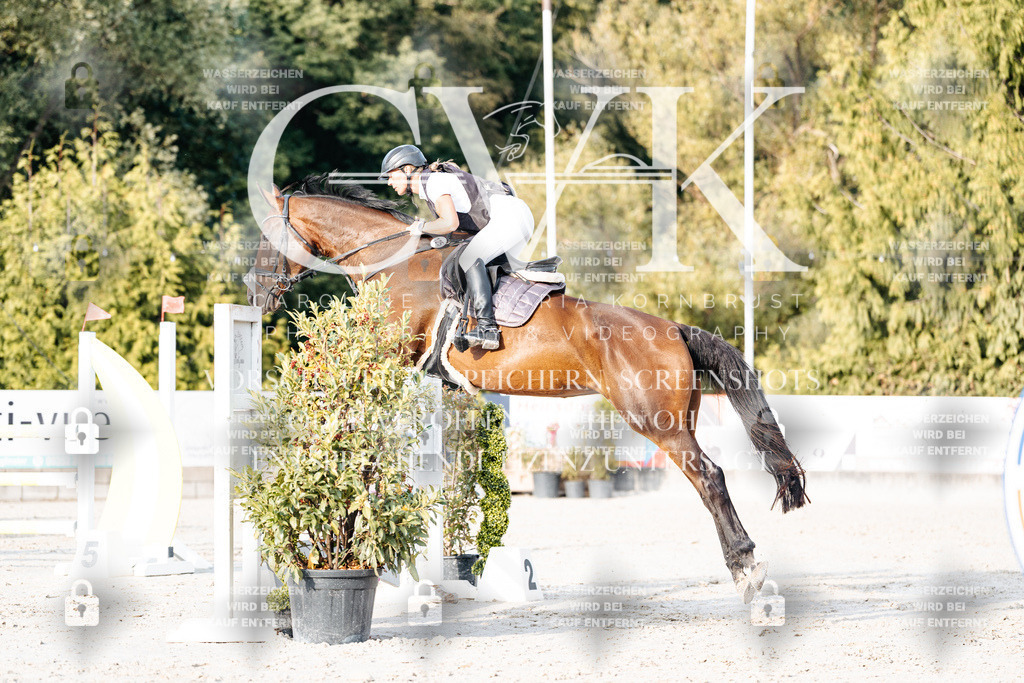 CK903400 | Turnierfotografie Pferdefotografie Trier Rheinland-Pfalz Pferdesport Reitsport Tierfotografie Sportfotografie Pferdevideo Pferdevideografie Equestrianvideography equestrianphotography  - Realisiert mit Pictrs.com