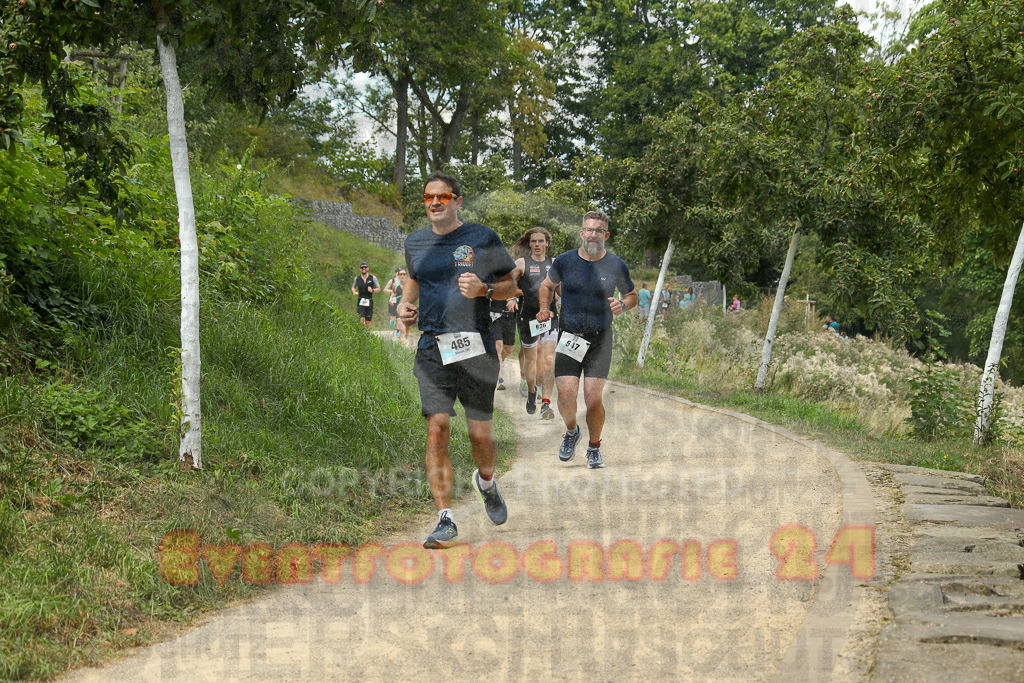 250824_1417_EX1_5690 | Sportfotografie im Rhein-Sieg Kreis, Köln, Bonn, NRW, Rheinland Pfalz, Hessen, etc. Unser Tätigkeitsfeld umfasst den Laufsport vom Volkslauf über den Marathon, Duathlon, Triathon bis zum Ultralauf wie Kölnpfad Ultra oder Schindertrail.
