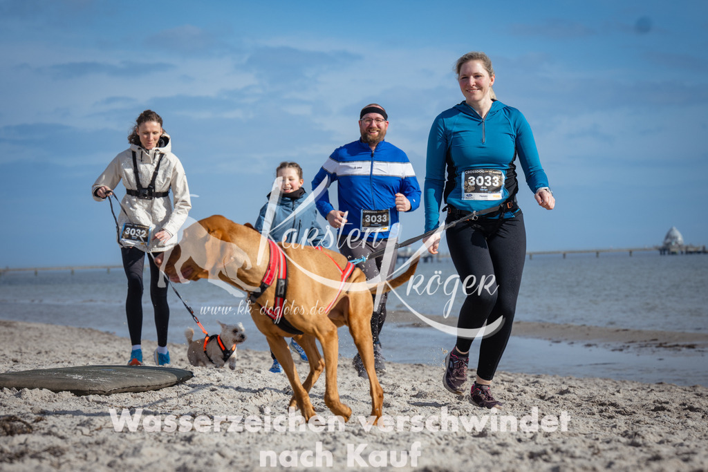 1246_ZZ98558 | kk-dogfotos