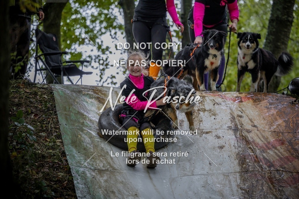 nelerasche_Hunsrück_Sa1430-1500_110-final | nelerasche