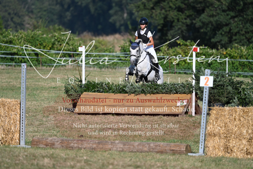 DSC_8935 | Pferde- und Turnierfotografie in Westsachsen. Pferdeportraits, Auftragszeichnungen und intuitive Kunst.