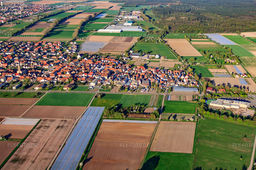 Luftbild: Hauptstr in Zeiskam im Bundesland Rheinland-Pfalz in Deutschland. Foto: IMG_56757.jpg vom 25.04.2013 durch Werner Riehm/FLY-FOTO.de