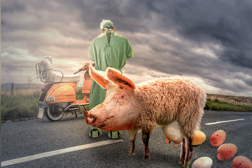 Besuch im Paradies | Wie jeden Tag war Heinz mit seiner Vespa unterwegs. Sie war sein „kleines Schätzchen“, das ihn überall hin begleitete. So fuhr er mit ihr zur Arbeit, zum Einkaufen, auch den Urlaub plante er nur mit ihr. Sie waren gemeinsam schon weit herumgekommen, hatten abenteuerliche Winterfahrten ebenso genossen wie sommerliche Strandurlaube.Heute war er auf dem Heimweg von der Arbeit. Das Wochenende stand vor der Tür, welches er mit Gleichgesinnten verbringen wollte. - Realisiert mit Pictrs.com