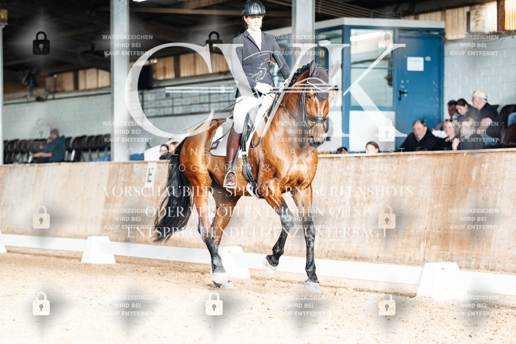 CK903103 | Turnierfotografie Pferdefotografie Trier Rheinland-Pfalz Pferdesport Reitsport Tierfotografie Sportfotografie Pferdevideo Pferdevideografie Equestrianvideography equestrianphotography  - Realisiert mit Pictrs.com