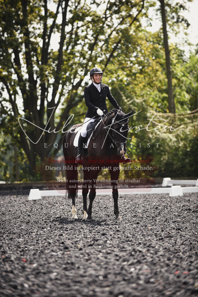 DSC_4248 | Pferde- und Turnierfotografie in Westsachsen. Pferdeportraits, Auftragszeichnungen und intuitive Kunst.