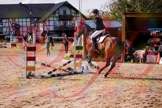2026_10_03_Siefer-Hof_143535_Z81_04252502 | Professionelle Reitsport-, Turnier- und Eventfotografie von Robert Broda. Galerien mit ausgewählten und bearbeiteten Bildern direkt online ansehen und bestellen.