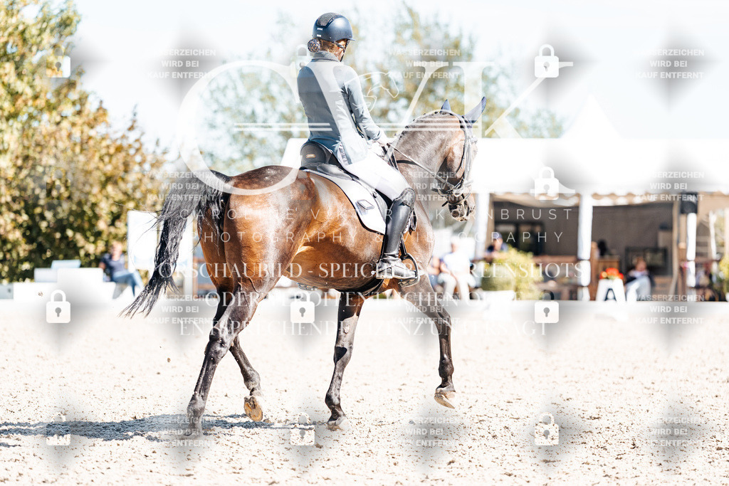 CK909798 | Turnierfotografie Pferdefotografie Trier Rheinland-Pfalz Pferdesport Reitsport Tierfotografie Sportfotografie Pferdevideo Pferdevideografie Equestrianvideography equestrianphotography  - Realisiert mit Pictrs.com