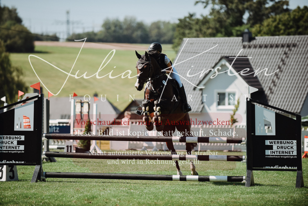 DSC_3162 | Pferde- und Turnierfotografie in Westsachsen. Pferdeportraits, Auftragszeichnungen und intuitive Kunst.