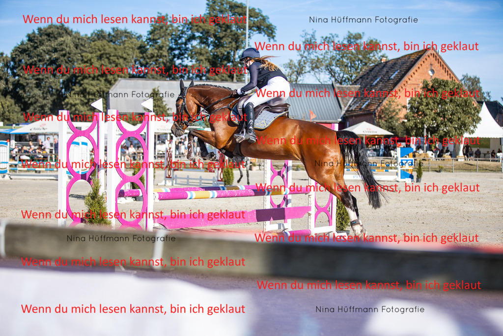 BK1A7502 | Turnierbilder Turnierfotos Nina Hüffmann Turnierfotografie Pferdefotografie Tierzeichnung Haustierzeichnung Pferdezeichnung Hundezeichnung Videograf  - Realisiert mit Pictrs.com