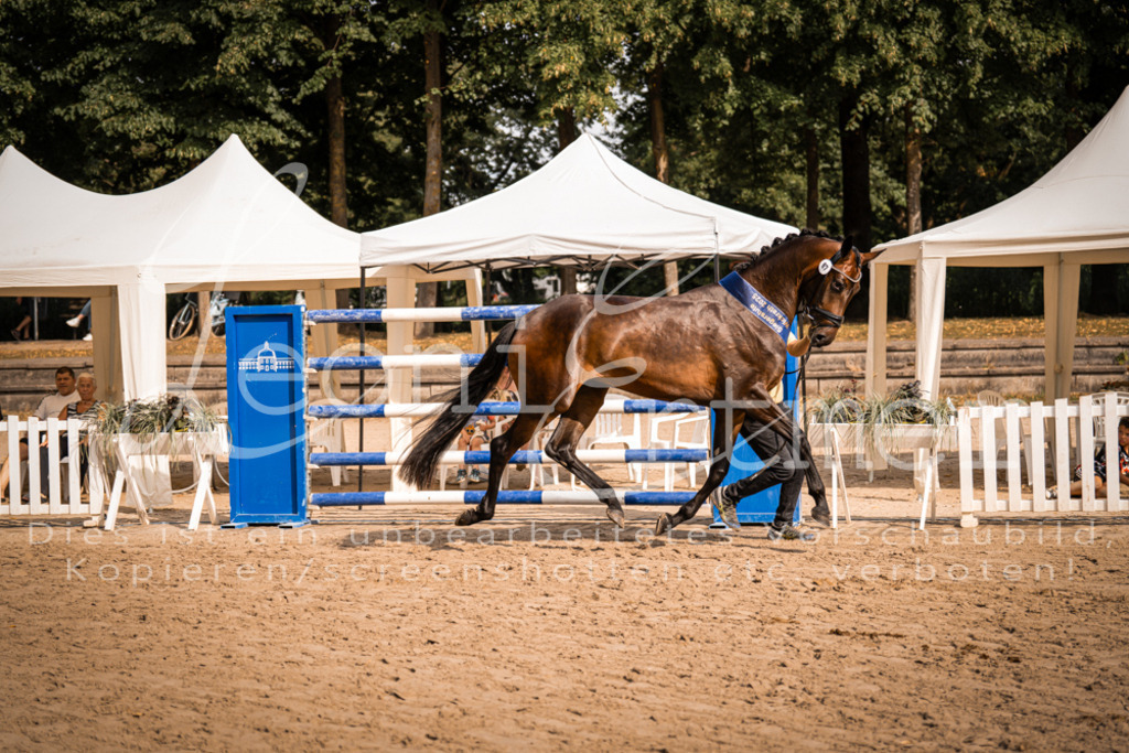 FrER00233 | Leoni Ertmer Photography - Realisiert mit Pictrs.com