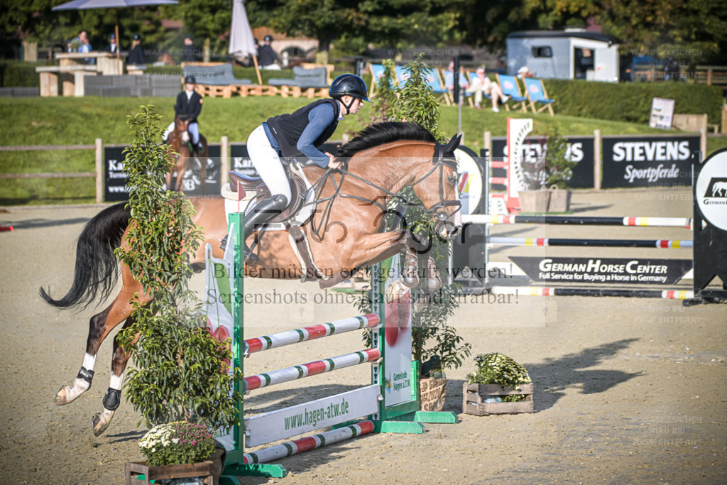 DOS_7327 | Entdecke hochwertige Reitturnierfotos von Foto Oger. Professionell, emotional und authentisch – jetzt Lieblingsmomente im Shop bestellen. - Realisiert mit Pictrs.com