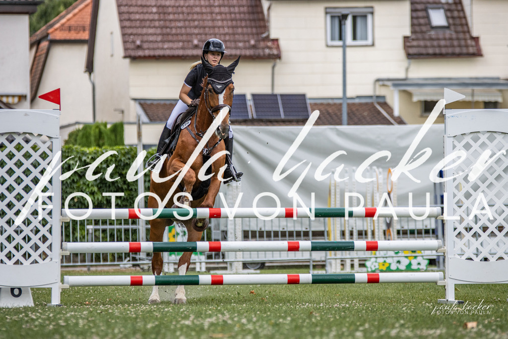 IMG_7558 | Erleben Sie dynamische Sport- und emotionale Tierfotografie in Süddeutschland mit Fotos von Paula. Spezialisiert auf Pferde- und Hundefotografie sowie Sportevents. Kontaktieren Sie mich für einzigartige und ausdrucksstarke Bilder Ihrer besonderen Momente.