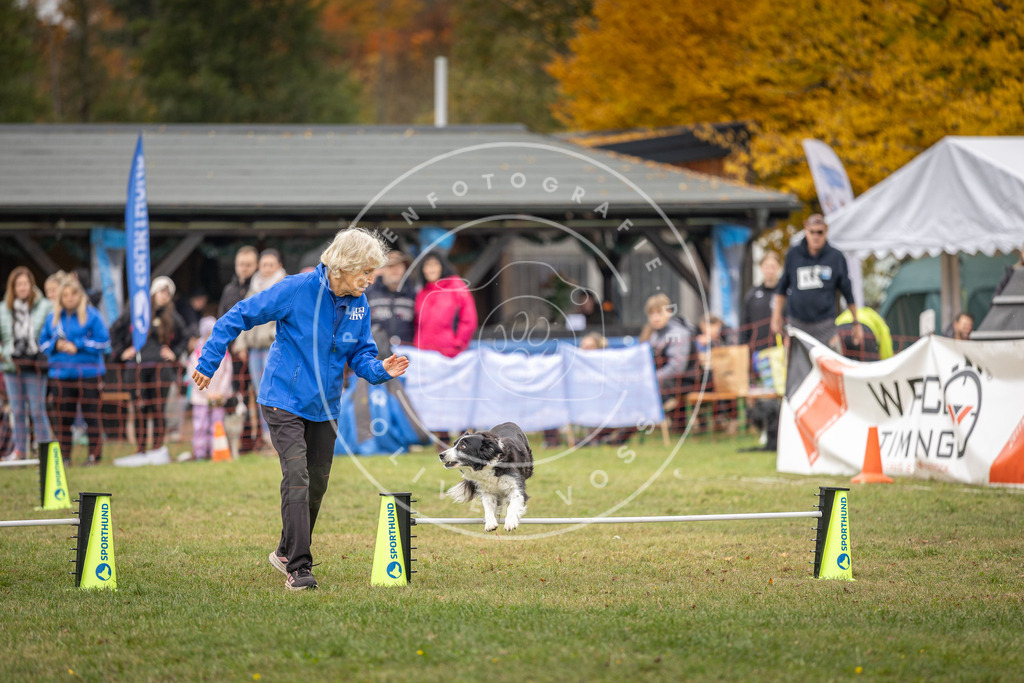 Pfotenfotografie_DV3A5058 | Hundefotografie, Tierfotograf, Pfotenfotografie, Fotoshooting Hund, Hunde Portrait, Hundesport, Hundeportraits, Heideshooting, Hunde, Sportfotograf, Hundefotograf, Turnierhundsport, THS,  - Realisiert mit Pictrs.com