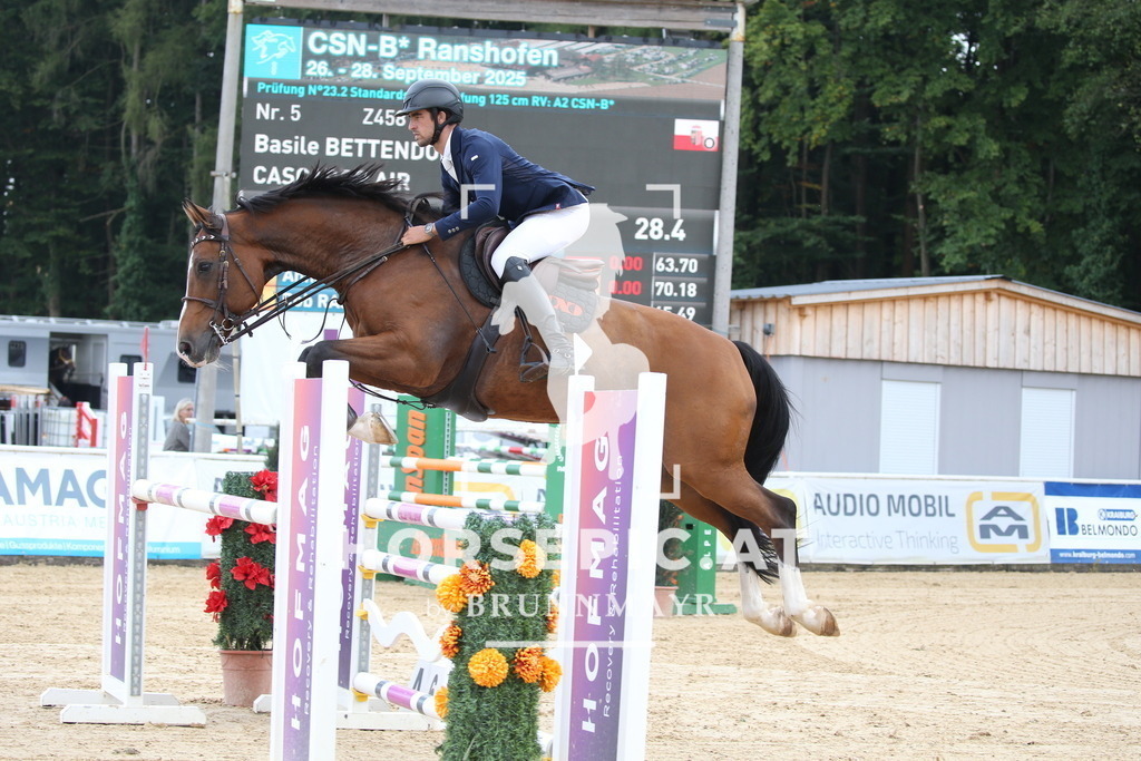 DL2Q5082 | Willkommen bei Brunnmayr - Design & Fotografie – Ihrem Spezialisten für Reitturniere und Pferdeveranstaltungen in Oberösterreich, Salzburg und Bayern! Seit über 17 Jahren sind wir leidenschaftlich dabei.