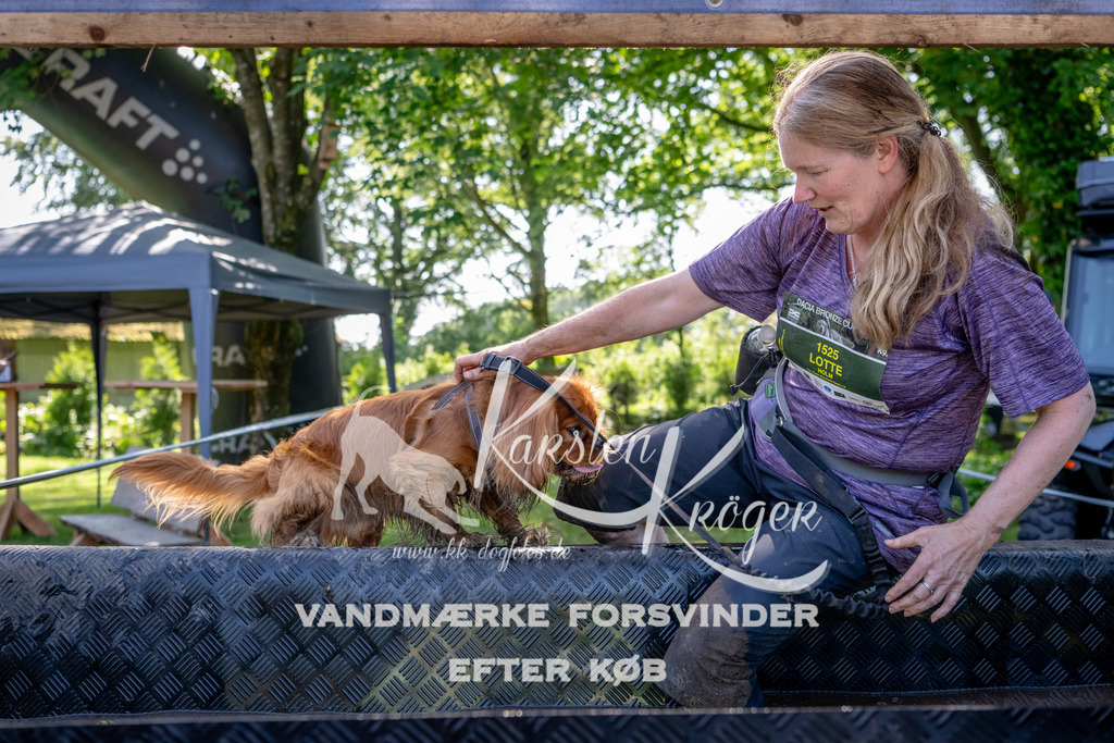 1532_ZZ91665 | kk-dogfotos